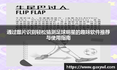 通过图片识别轻松猜测足球明星的趣味软件推荐与使用指南